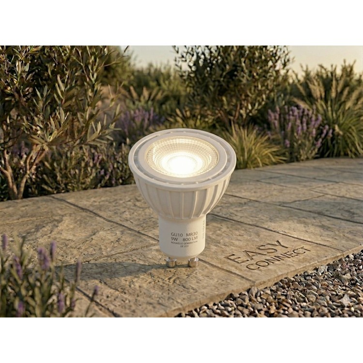 Ampoule led blanc chaud GU10 MR30 10W 800lm 67876 Easy Connect