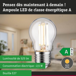 Eco-Line Filament LED Sphérique Paulmann
