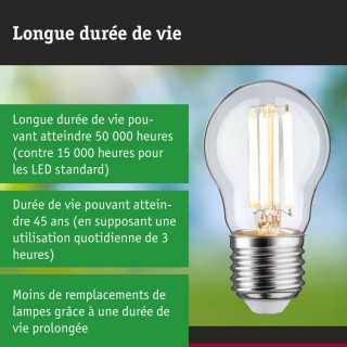 Eco-Line Filament LED Sphérique Paulmann