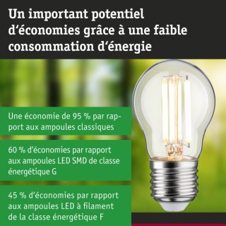Eco-Line Filament LED Sphérique Paulmann