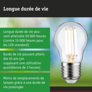 Eco-Line Filament LED Sphérique Paulmann