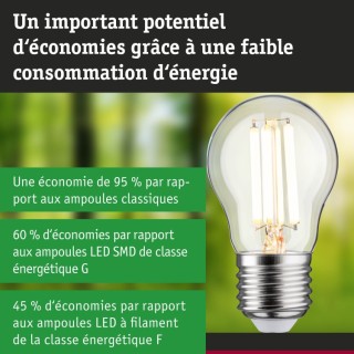 Eco-Line Filament LED Sphérique Paulmann