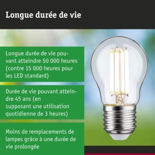 Eco-Line Filament LED Sphérique Paulmann