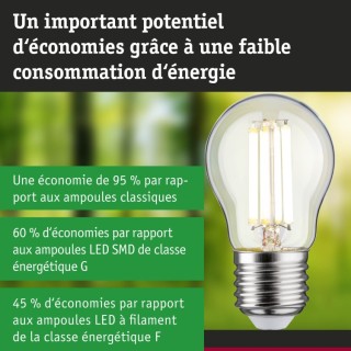 Eco-Line Filament LED Sphérique Paulmann