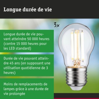 Eco-Line Filament Sphérique LED Paulmann
