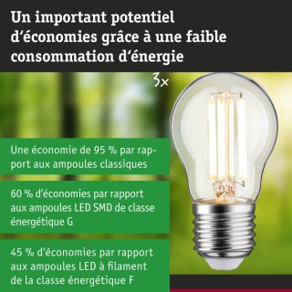 Eco-Line Filament Sphérique LED Paulmann