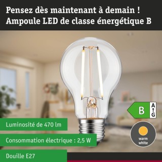 Eco-Line Filament Ampoule LED E27 Paulmann
