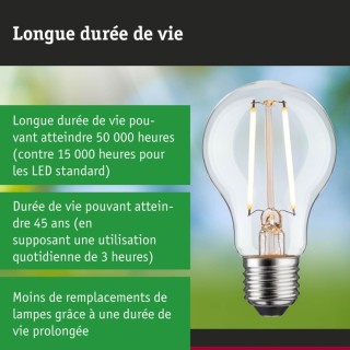 Eco-Line Filament Ampoule LED E27 Paulmann