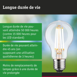 Eco-Line Filament LED E27 Luminaire Paulmann