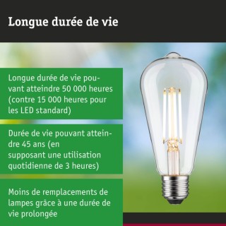 Eco-Line Filament LED Ampoule ST64 E27 Paulmann