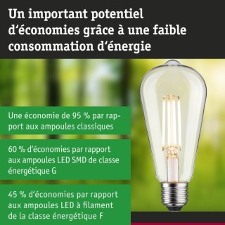 Eco-Line Filament LED Ampoule ST64 E27 Paulmann