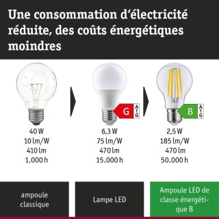 Eco-Line Filament LED Ampoule ST64 E27 Paulmann