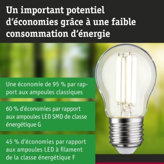 Eco-Line Filament LED Paulmann