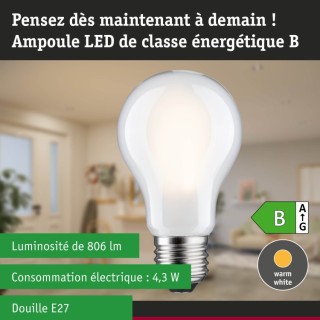 Eco-Line Filament Ampoule LED E27 Paulmann
