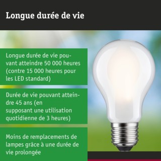 Eco-Line Filament Ampoule LED E27 Paulmann