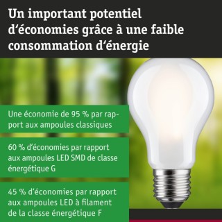 Eco-Line Filament Ampoule LED E27 Paulmann
