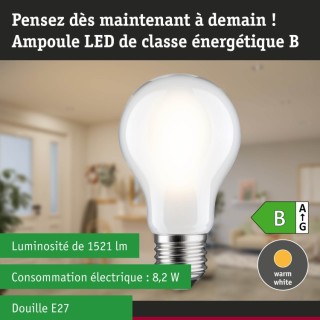 Eco-Line Ampoule LED E27 Paulmann