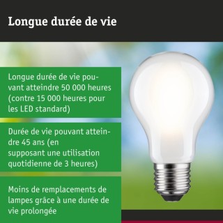 Eco-Line Ampoule LED E27 Paulmann