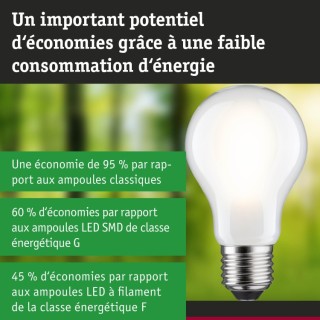 Eco-Line Ampoule LED E27 Paulmann