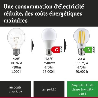 Eco-Line Ampoule LED E27 Paulmann
