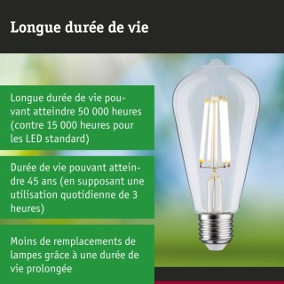 Eco-Line Filament LED ST64 E27, Ampoule, Paulmann
