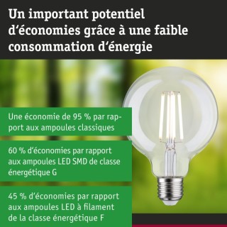 Eco-Line Filament Globe LED Paulmann