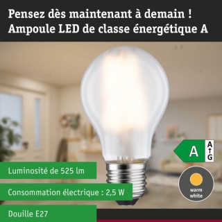 Eco-Line Filament LED E27 525lm Paulmann