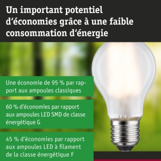 Eco-Line Filament LED E27 525lm Paulmann