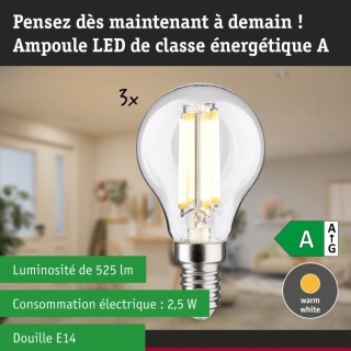 Eco-Line Filament LED E14 Kit - Ampoule Paulmann