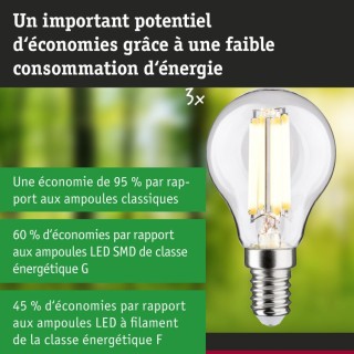 Eco-Line Filament LED E14 Kit - Ampoule Paulmann