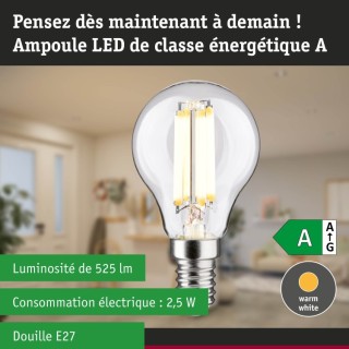 Eco-Line Filament LED E14 Sphérique - Paulmann