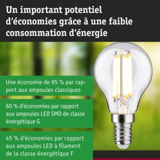 Eco-Line Filament LED E14 Sphérique - Paulmann