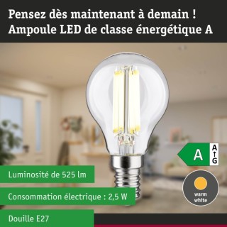 Eco-Line Filament Sphérique LED Paulmann