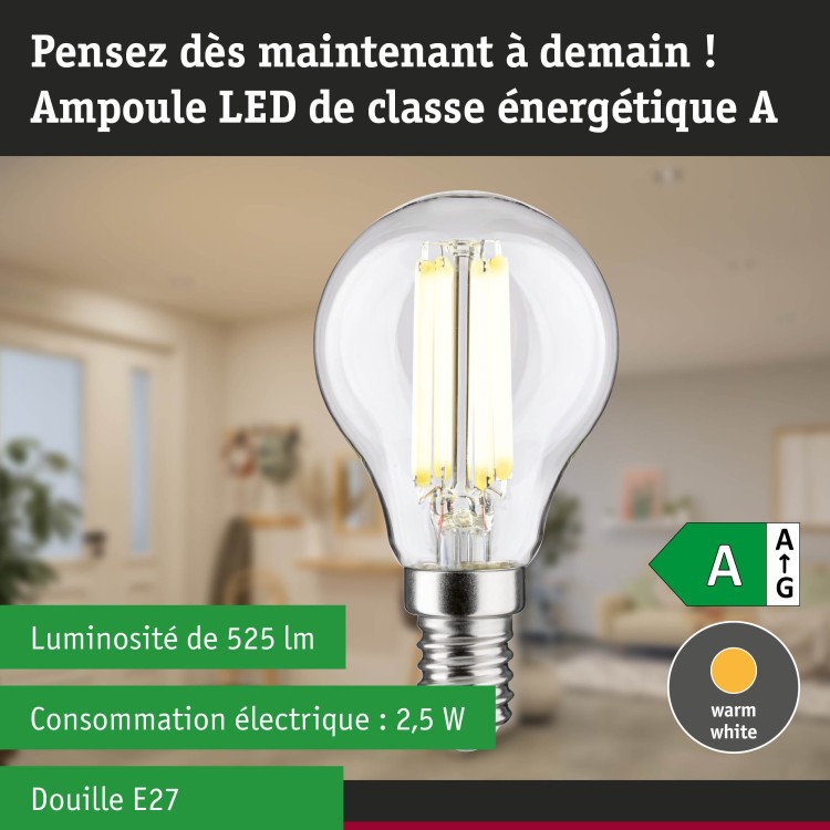 Eco-Line Filament Sphérique LED Paulmann