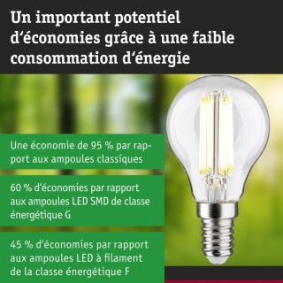 Eco-Line Filament Sphérique LED Paulmann