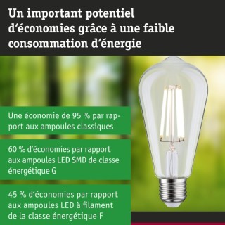 Eco-Line Filament Ampoule LED ST64 E27 - Paulmann