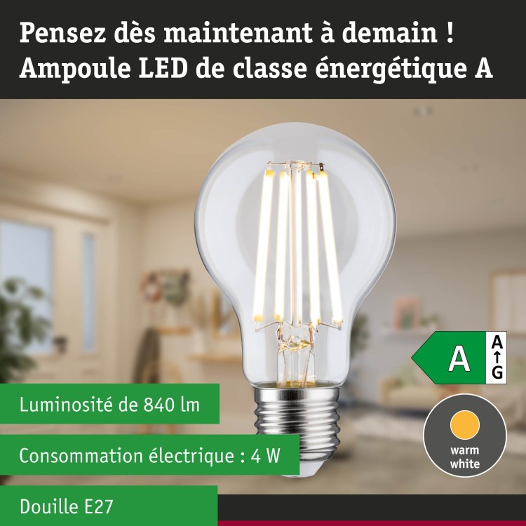 Eco-Line LED Ampoule E27 Paulmann
