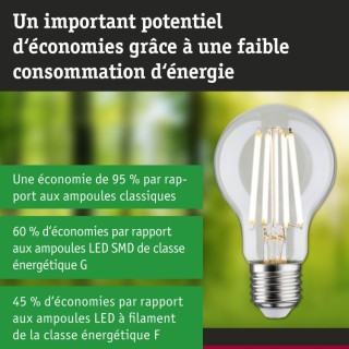 Eco-Line LED Ampoule E27 Paulmann