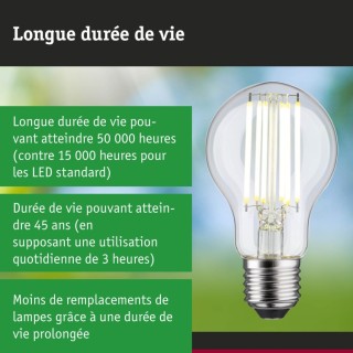 Eco-Line Filament LED E27 Luminaire Paulmann