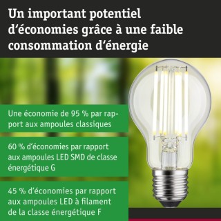 Eco-Line Filament LED E27 Luminaire Paulmann