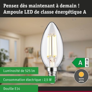 Eco-Line Bougie LED E14 525lm - Paulmann