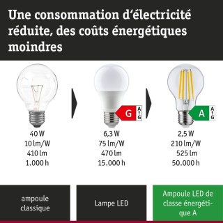 Eco-Line Bougie LED E14 525lm - Paulmann