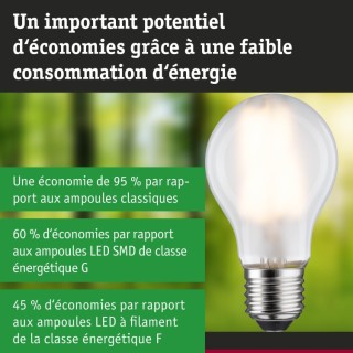 Eco-Line Filament LED E27 Luminaire Paulmann