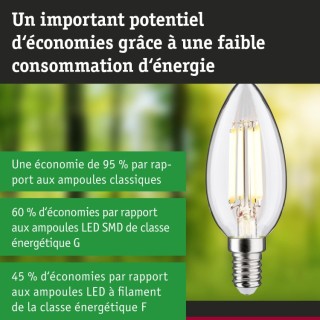 Eco-Line Bougie LED E14 Paulmann