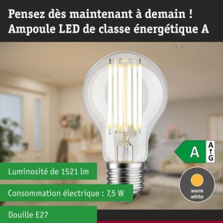 Eco-Line Filament Ampoule LED Paulmann