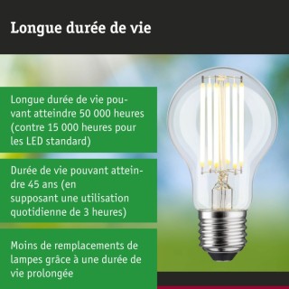 Eco-Line Filament Ampoule LED E27 Paulmann