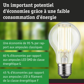 Eco-Line Filament Ampoule LED E27 Paulmann