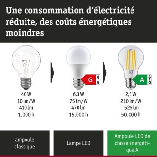 Eco-Line LED E27 Paulmann