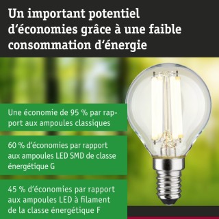 Eco-Line Filament LED E14 Sphérique Paulmann