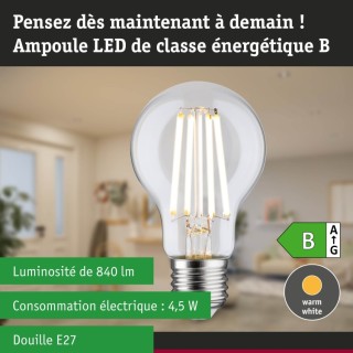 Eco-Line Filament 230V LED, Luminaire Paulmann